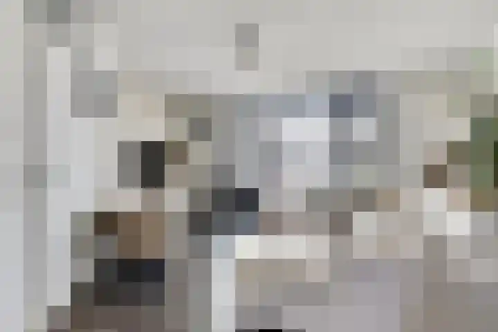 Reinolduslaan 6 Nieuw-Vossemeer thumbnail 10