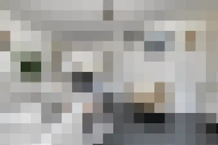 Reinolduslaan 6 Nieuw-Vossemeer thumbnail 12
