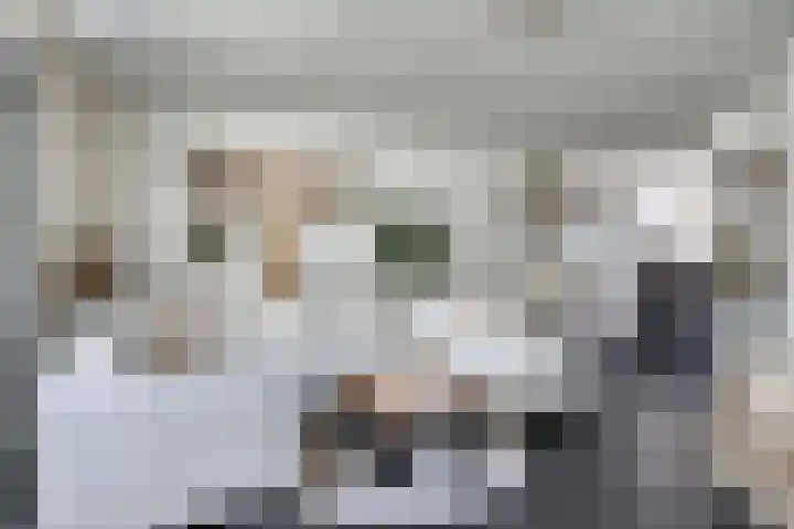 Reinolduslaan 6 Nieuw-Vossemeer thumbnail 13