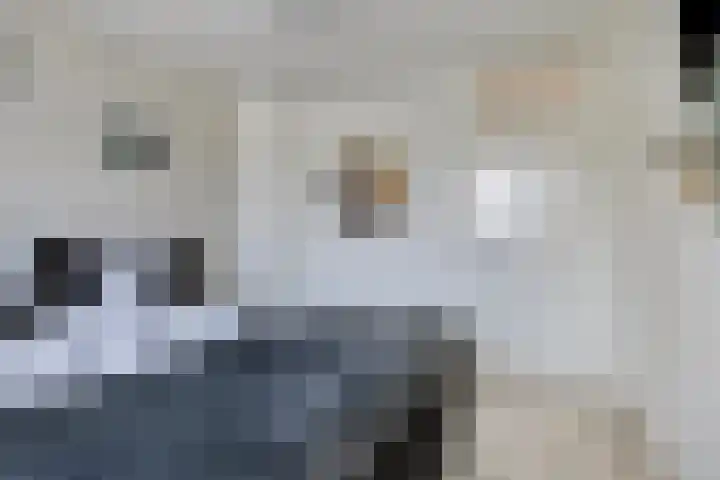 Reinolduslaan 6 Nieuw-Vossemeer thumbnail 21