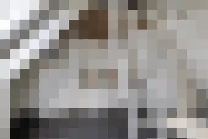 Reinolduslaan 6 Nieuw-Vossemeer thumbnail 26