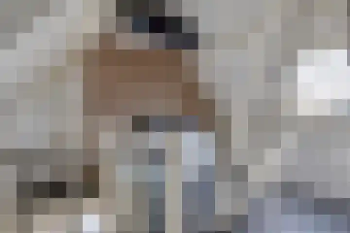 Reinolduslaan 6 Nieuw-Vossemeer thumbnail 27