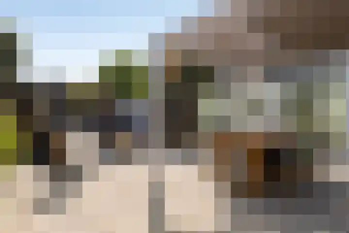 Reinolduslaan 6 Nieuw-Vossemeer thumbnail 28