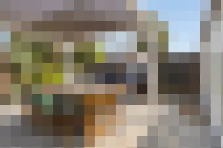 Reinolduslaan 6 Nieuw-Vossemeer thumbnail 30