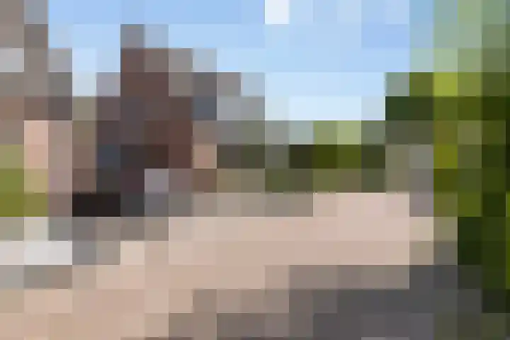 Reinolduslaan 6 Nieuw-Vossemeer thumbnail 35