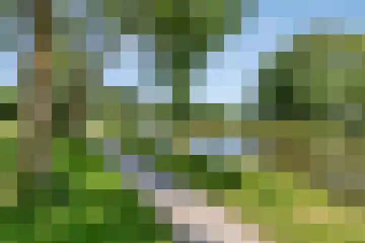 Reinolduslaan 6 Nieuw-Vossemeer thumbnail 36