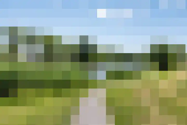 Reinolduslaan 6 Nieuw-Vossemeer thumbnail 37