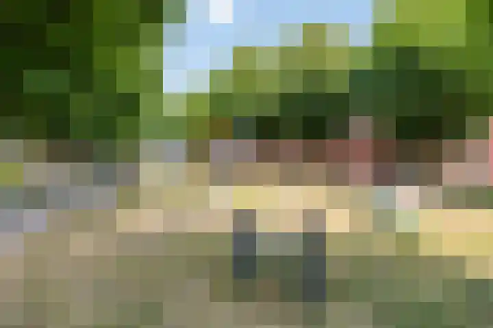 Reinolduslaan 6 Nieuw-Vossemeer thumbnail 38