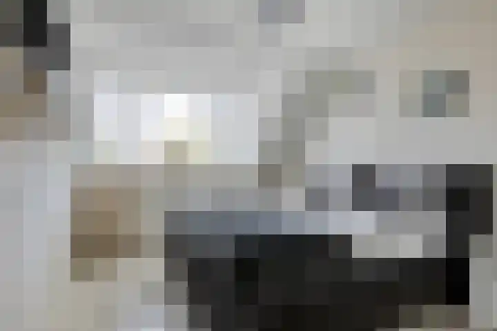 Reinolduslaan 6 Nieuw-Vossemeer thumbnail 5
