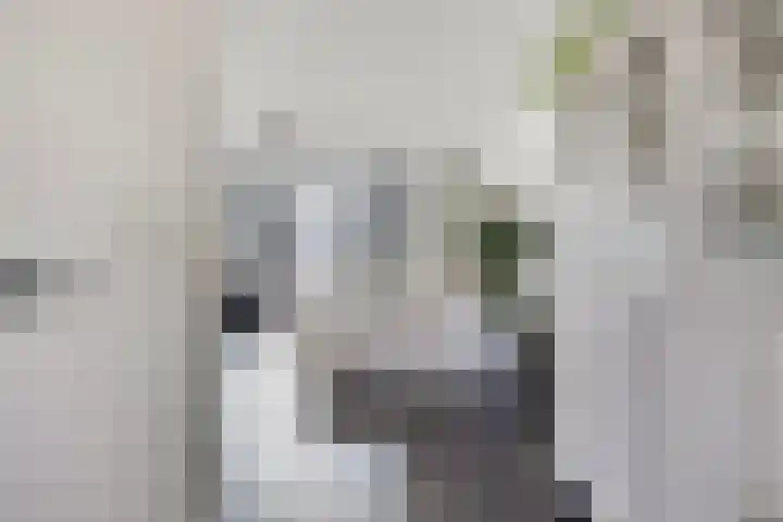 Reinolduslaan 6 Nieuw-Vossemeer thumbnail 9