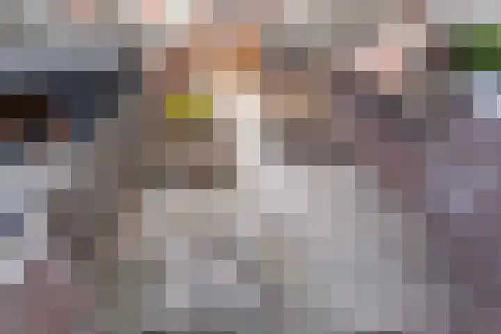 Reinoud III-straat 13 Vianen thumbnail 27