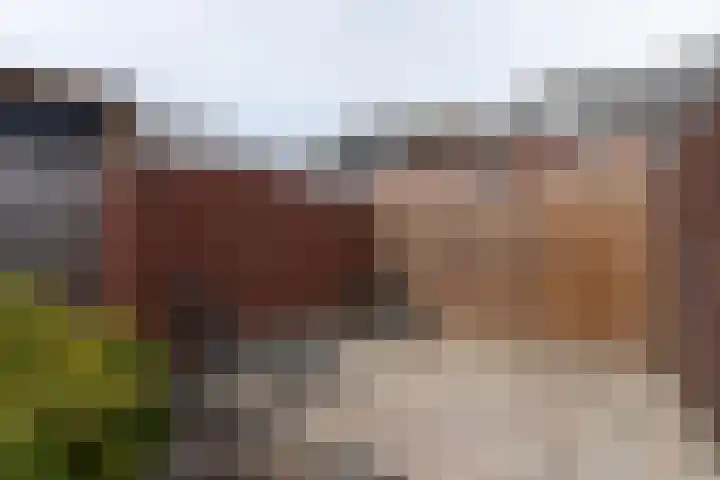 Reinoud III-straat 13 Vianen thumbnail 28