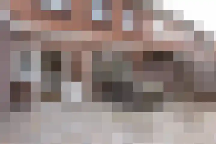 Reinoud III-straat 13 Vianen thumbnail 29