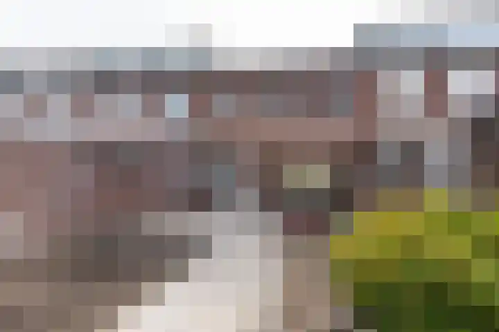 Reinoud III-straat 13 Vianen thumbnail 30