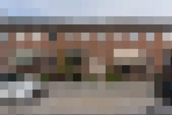 Reinoud III-straat 13 Vianen thumbnail 31