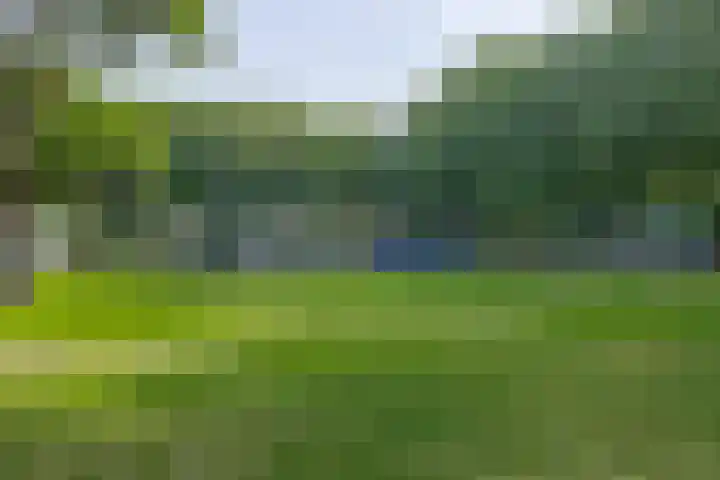 Reinoud III-straat 13 Vianen thumbnail 35