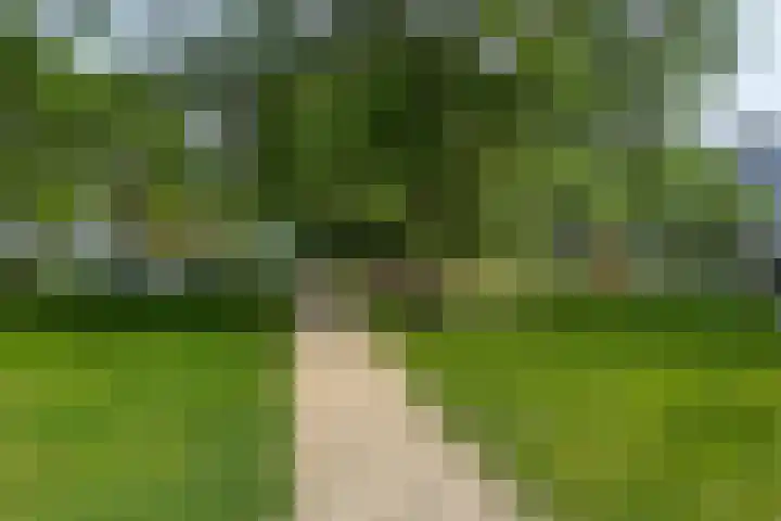 Reinoud III-straat 13 Vianen thumbnail 36