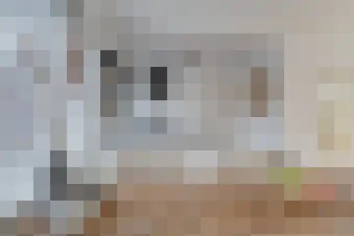 Reinoud III-straat 13 Vianen thumbnail 8