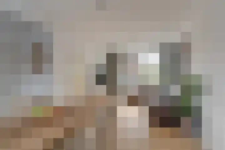 Reinoud III-straat 13 Vianen thumbnail 9