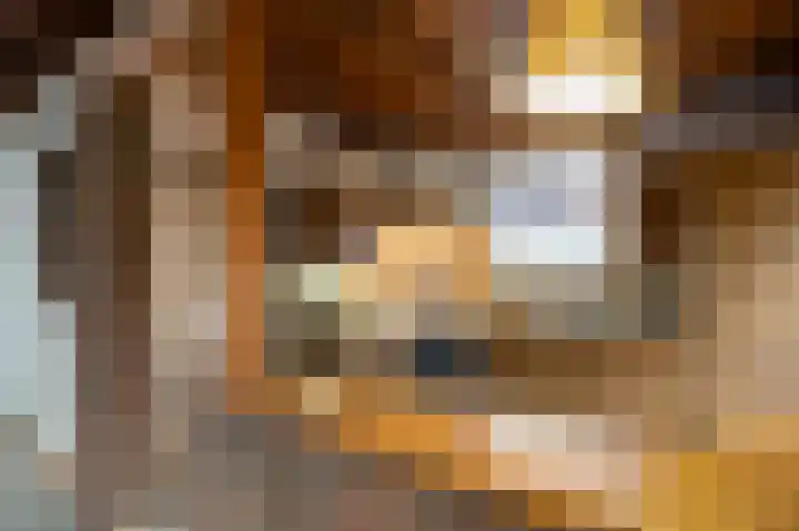 Reinoud van Gelderstraat 16 Susteren thumbnail 16