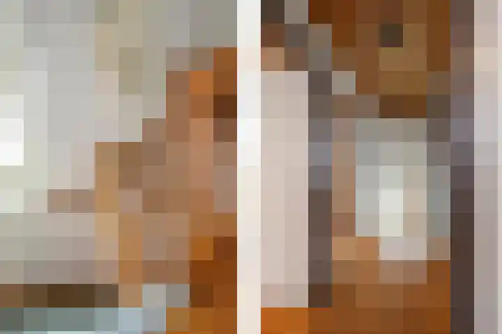 Reinoud van Gelderstraat 16 Susteren thumbnail 21