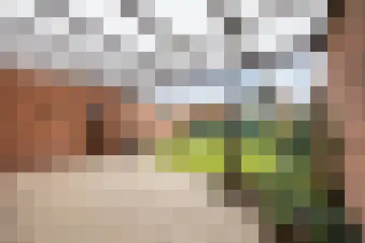 Reinoud van Gelderstraat 16 Susteren thumbnail 31