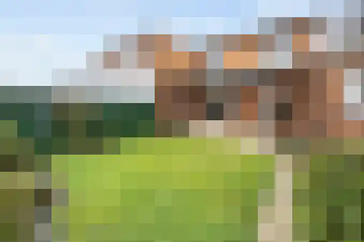 Reinoud van Gelderstraat 16 Susteren thumbnail 32