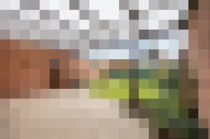 Reinoud van Gelderstraat 16 Susteren thumbnail 4