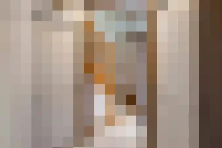 Reinoud van Gelderstraat 16 Susteren thumbnail 9