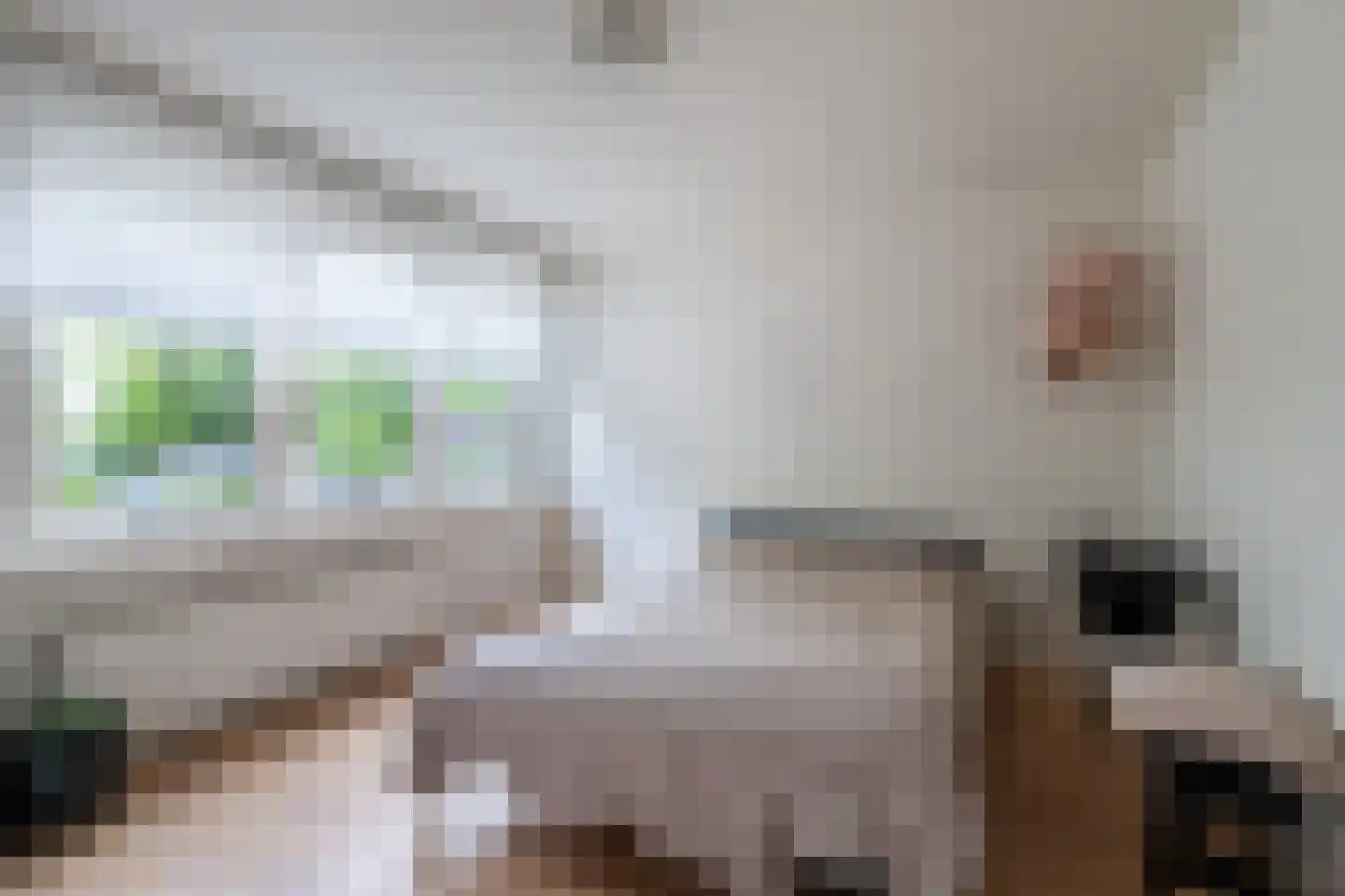 Reinoud van Gelderstraat 18 Susteren thumbnail 11