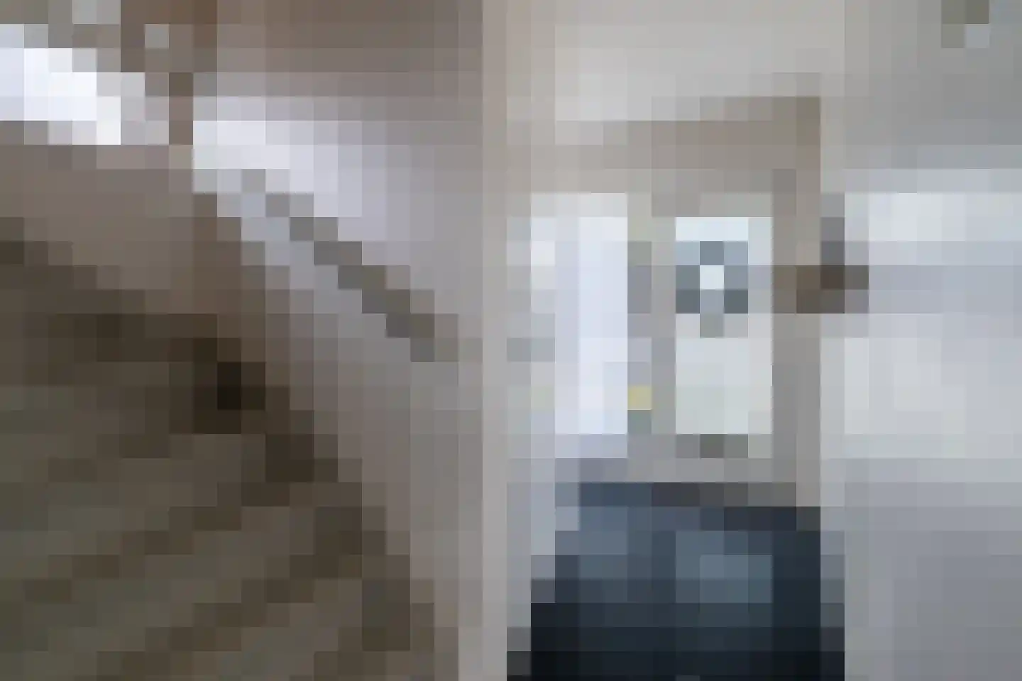 Reinoud van Gelderstraat 18 Susteren thumbnail 4