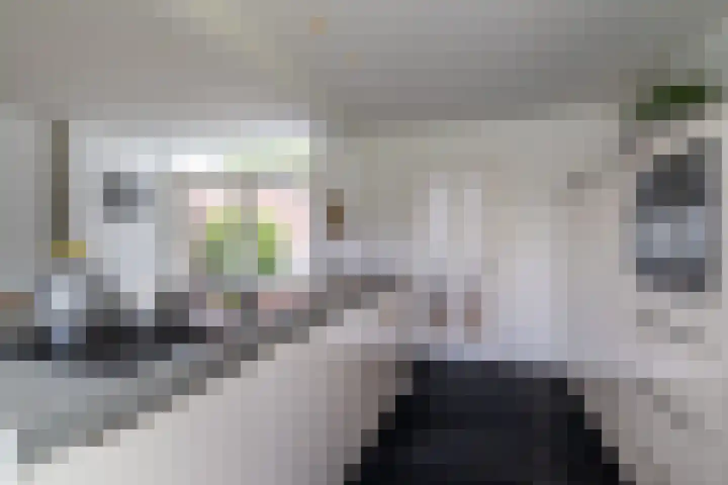 Reinoud van Gelderstraat 18 Susteren thumbnail 7