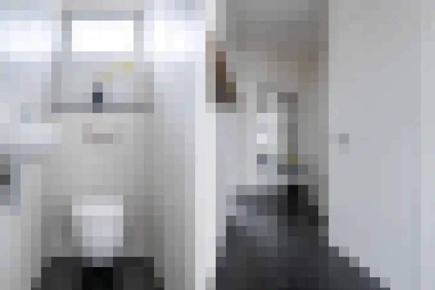 Reinoud van Gelderstraat 18 Susteren thumbnail 8