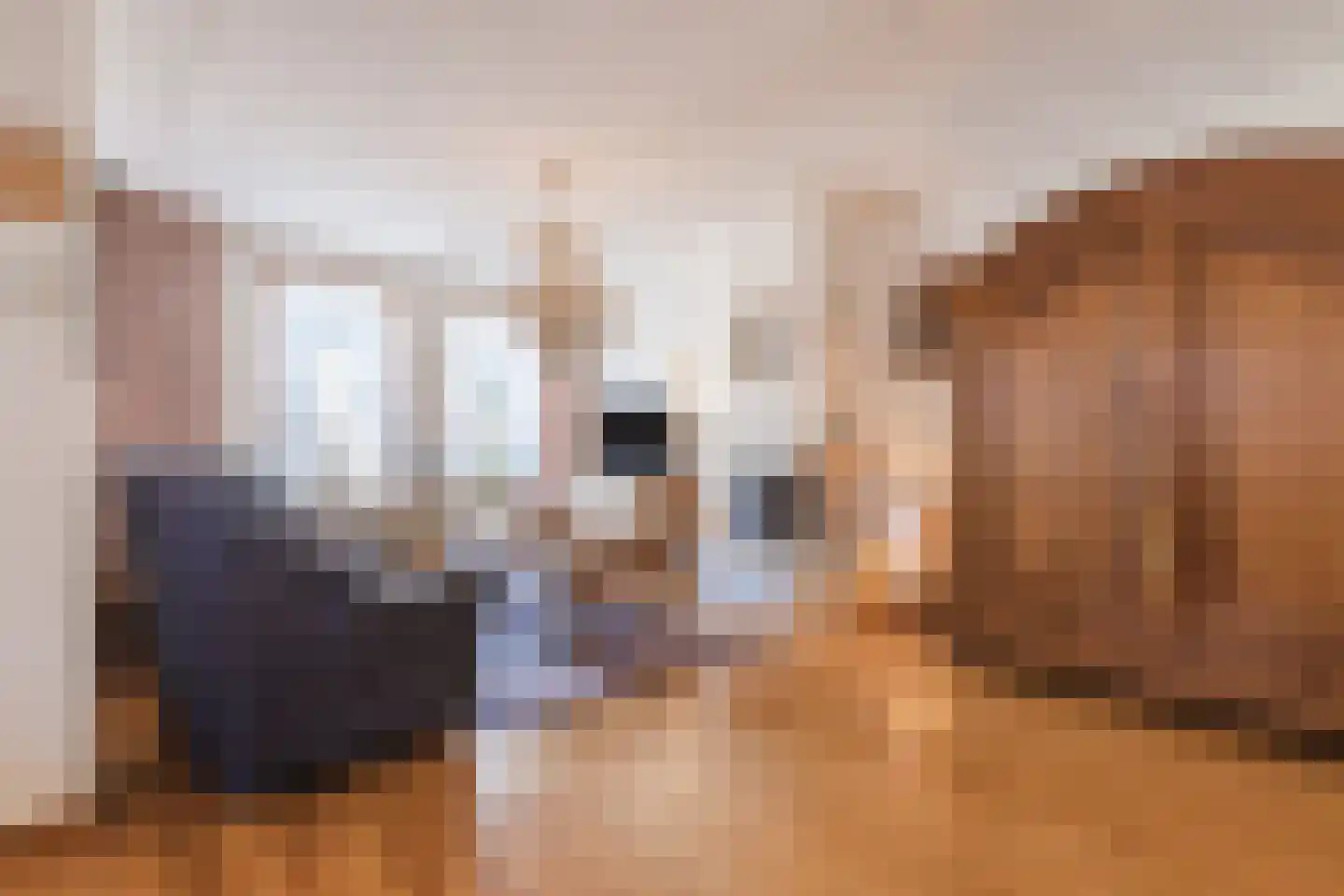 Reinoud van Gelderstraat 2 Susteren thumbnail 11
