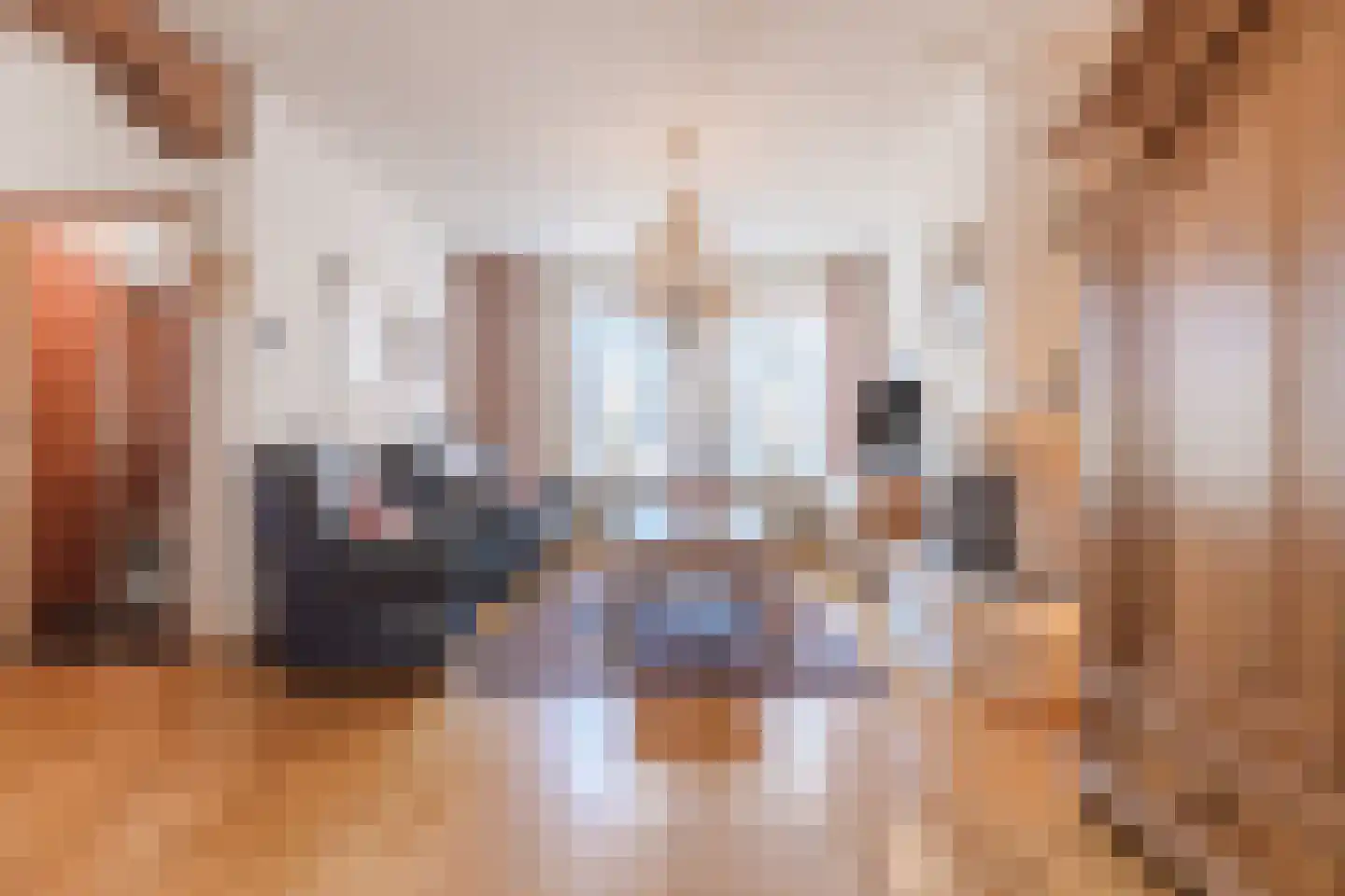Reinoud van Gelderstraat 2 Susteren thumbnail 12