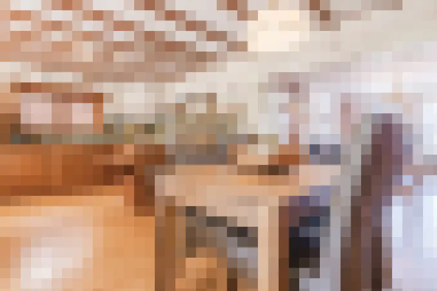 Reinoud van Gelderstraat 2 Susteren thumbnail 17