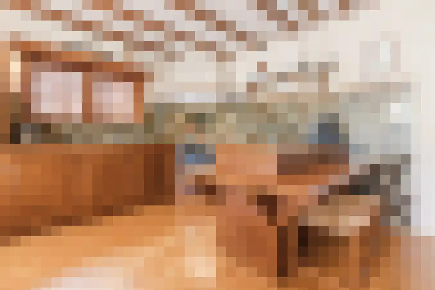 Reinoud van Gelderstraat 2 Susteren thumbnail 18