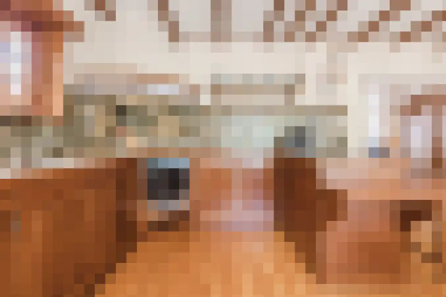 Reinoud van Gelderstraat 2 Susteren thumbnail 19