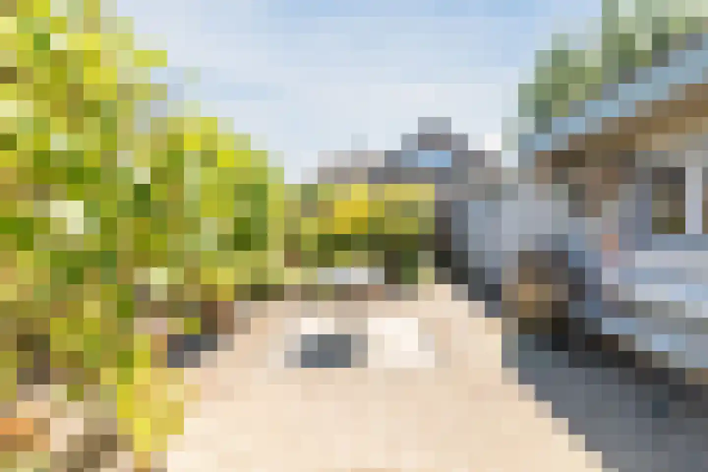 Reinoud van Gelderstraat 2 Susteren thumbnail 33
