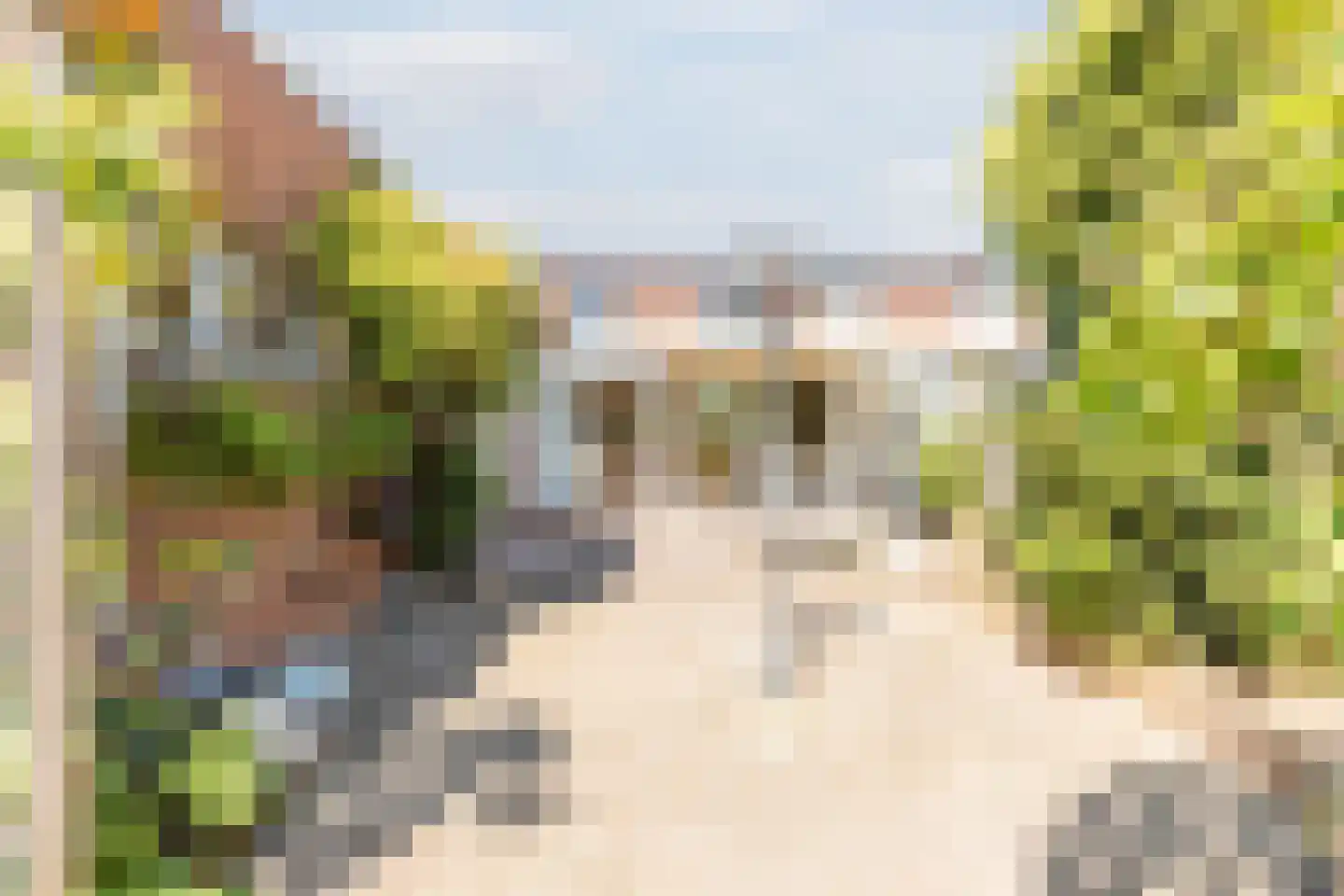 Reinoud van Gelderstraat 2 Susteren thumbnail 34