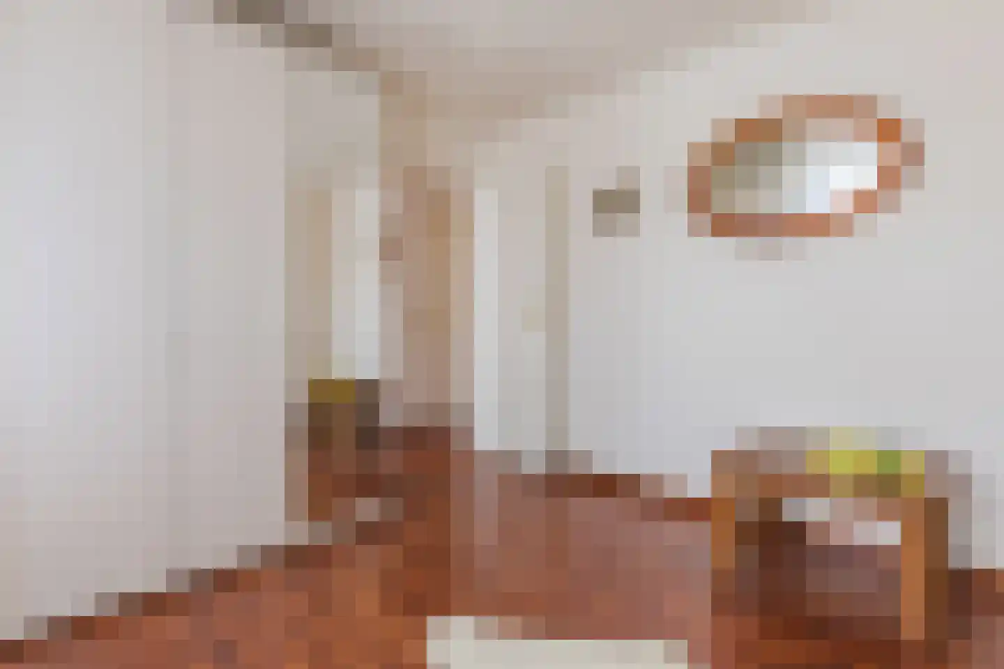 Reinoud van Gelderstraat 2 Susteren thumbnail 38