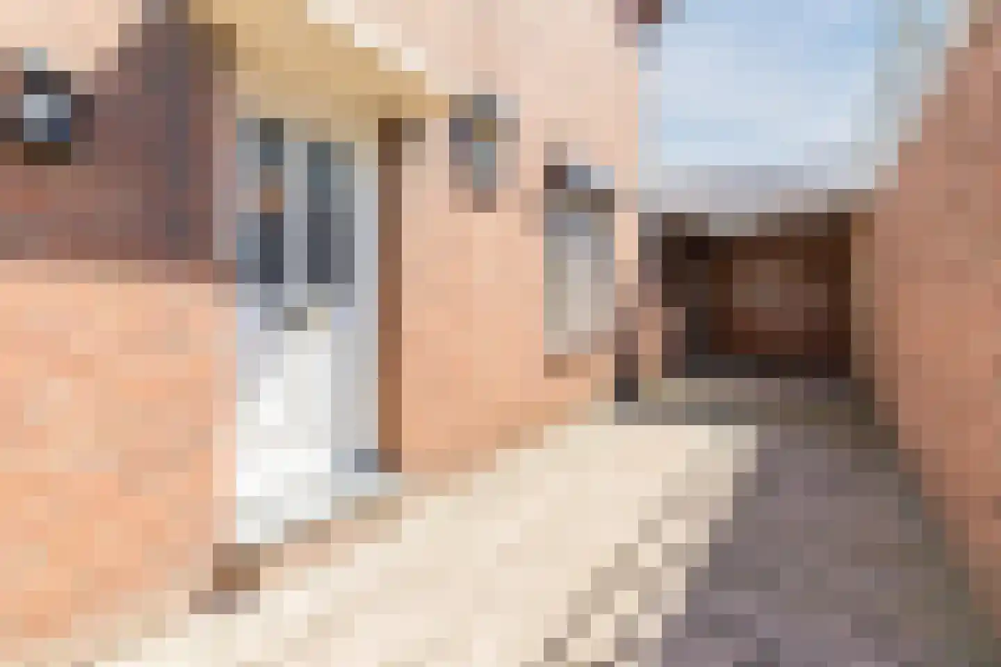 Reinoud van Gelderstraat 2 Susteren thumbnail 5