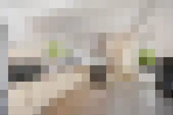 Reinoud van Gelderstraat 36 Susteren thumbnail 12