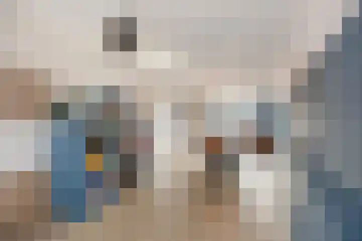 Reinoud van Gelderstraat 36 Susteren thumbnail 17