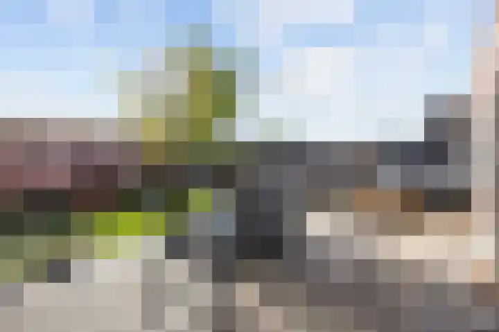 Reinoud van Gelderstraat 36 Susteren thumbnail 33