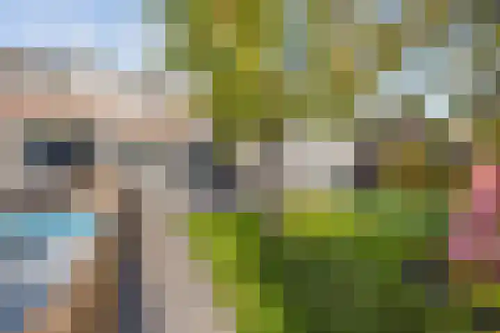 Reinoud van Gelderstraat 36 Susteren thumbnail 36