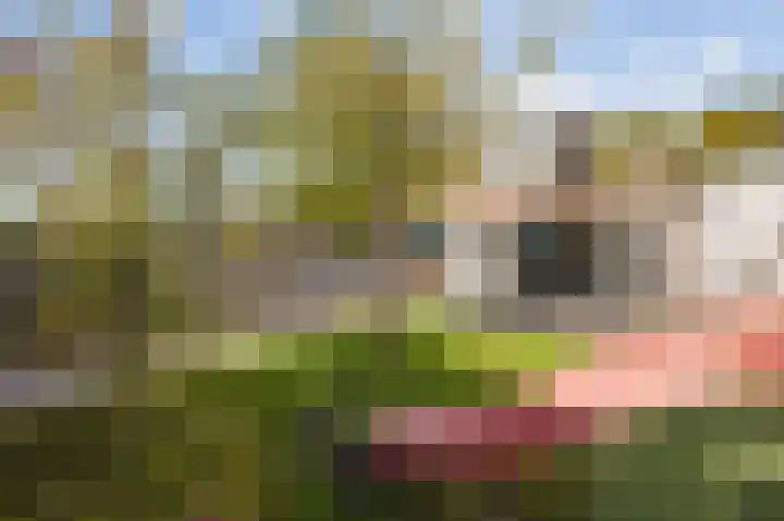 Reinoud van Gelderstraat 36 Susteren thumbnail 37