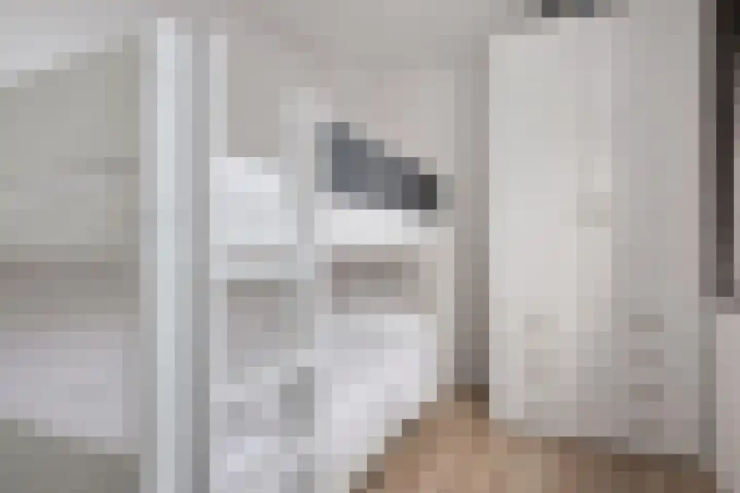 Reinout 11 Noordwijk thumbnail 19