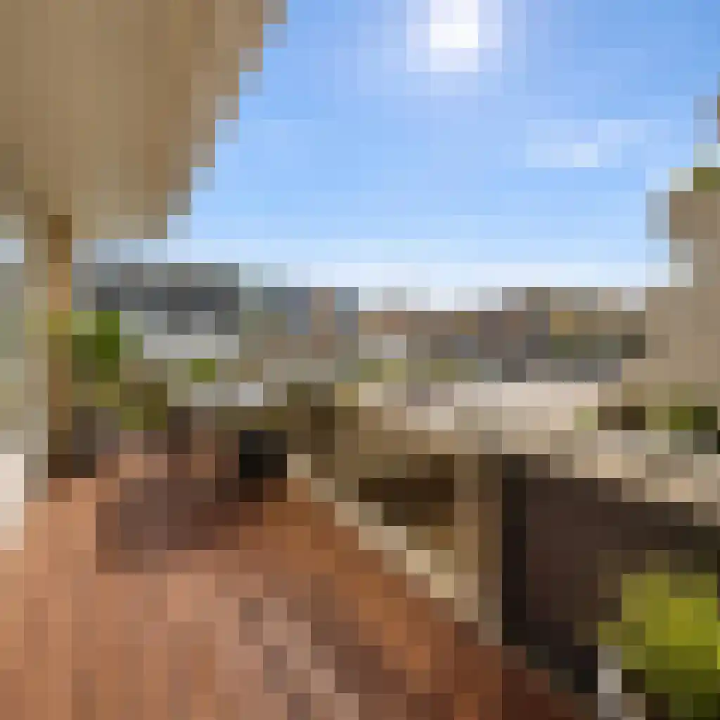 Reinout 11 Noordwijk thumbnail 8