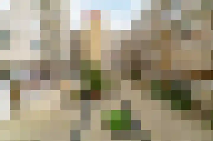 Reinout 30 Noordwijk thumbnail 31